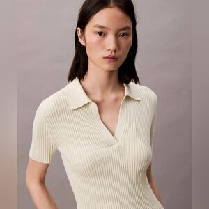 Calvin Klein | Smooth Cotton Rib Sweater Polo in Aloe Wash | Small